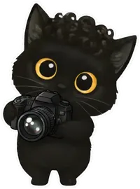 もじゃねこの写真撮影と動画制作イメージ画像