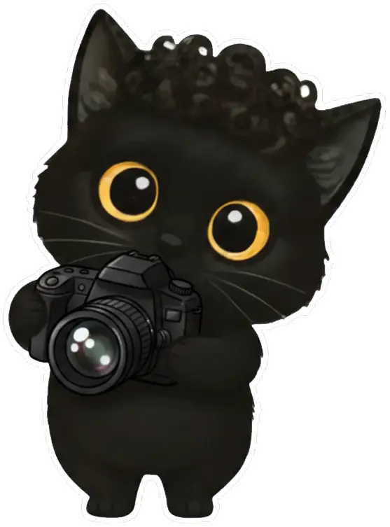 もじゃねこの写真撮影と動画制作イメージ画像